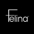 Felina Coupons and Promo Codes
