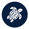 Vilebrequin Coupons and Promo Codes