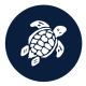 Vilebrequin Coupons and Promo Codes
