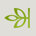 Ancestry Coupon Code 2026