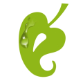 Eden Fantasys Coupons and Promo Codes